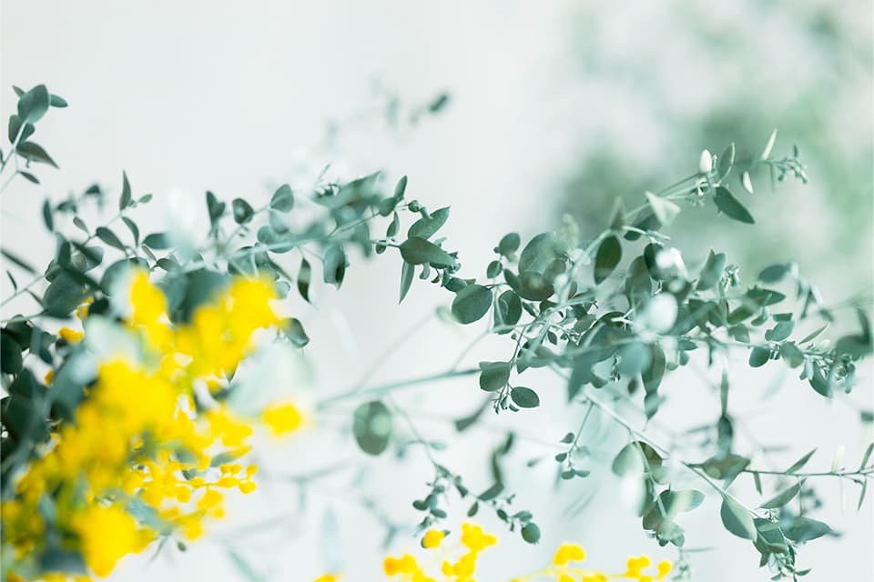 さまざまな疑問や質問にお応え